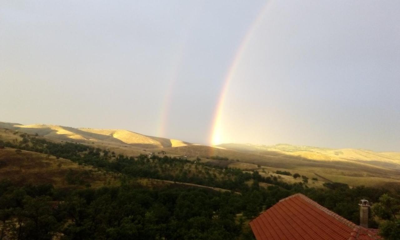 Vila Bliznakinja B Zlatibor Exteriör bild